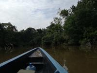 Fahrt auf den Fluss Cuyabeno 