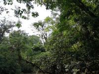 Fahrt auf den Fluss Cuyabeno 