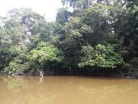 Fahrt auf den Fluss Cuyabeno 