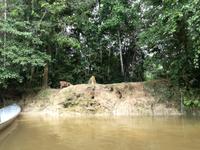 Fahrt auf den Fluss Cuyabeno 