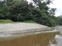 Fahrt auf den Fluss Cuyabeno 