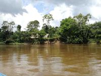 Fahrt auf den Fluss Cuyabeno 