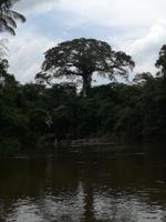 Fahrt auf den Fluss Cuyabeno 