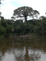 Fahrt auf den Fluss Cuyabeno 