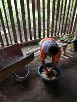 Herstellung von Maniok Brot