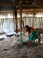 Herstellung von Maniok Brot