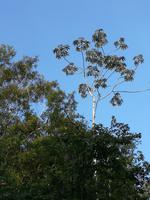 Fahrt auf den Fluss Cuyabeno 