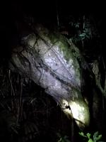 Nachtwanderung in der Nähe der Lodge