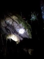 Nachtwanderung in der Nähe der Lodge