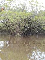 Rückfahrt nach Lago Agrio