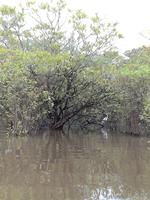 Rückfahrt nach Lago Agrio