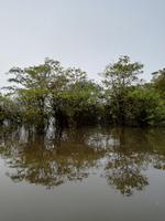 Rückfahrt nach Lago Agrio