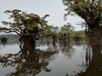 Rückfahrt nach Lago Agrio