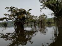 Rückfahrt nach Lago Agrio
