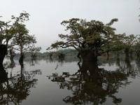 Rückfahrt nach Lago Agrio