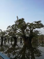 Rückfahrt nach Lago Agrio