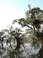 Rückfahrt nach Lago Agrio