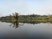 Rückfahrt nach Lago Agrio