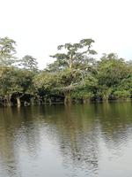 Rückfahrt nach Lago Agrio