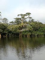 Rückfahrt nach Lago Agrio