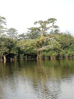 Rückfahrt nach Lago Agrio