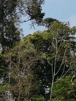 Rückfahrt nach Lago Agrio