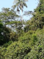 Rückfahrt nach Lago Agrio