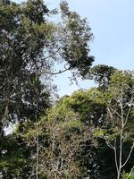 Rückfahrt nach Lago Agrio