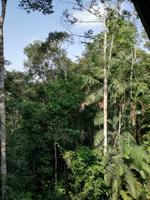 Rückfahrt nach Lago Agrio