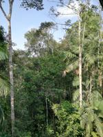 Rückfahrt nach Lago Agrio