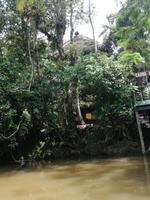 Tapir Lodge im Cuyabeno Reservat