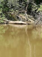 Rückfahrt nach Lago Agrio