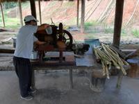 Zuckerrohrverarbeitung