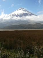 Cotopaxi 