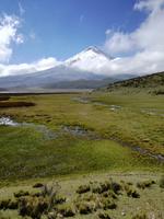 Cotopaxi 