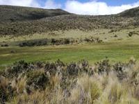 Wanderung entlang de Limpiopungo-Sees