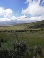 Cotopaxi 