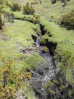 Wanderung entlang de Limpiopungo-Sees