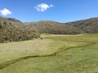 Wanderung entlang de Limpiopungo-Sees