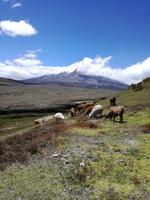 Mittagessen im Cotopaxi Nationalpark
