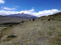 Mittagessen im Cotopaxi Nationalpark