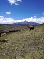 Mittagessen im Cotopaxi Nationalpark