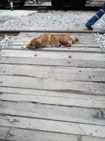 IMG_20180316_095612_1