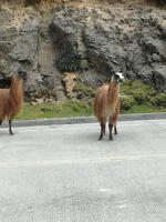 IMG_20180317_130456_1