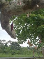 IMG_20180317_155421_1