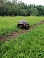 IMG_20180318_142703_2