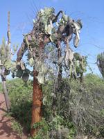 IMG_20180318_155119_1