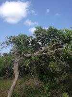 IMG_20180318_155500_1