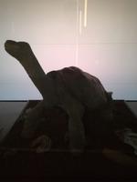 IMG_20180318_163736_1