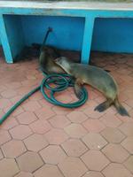 IMG_20180318_185422_1